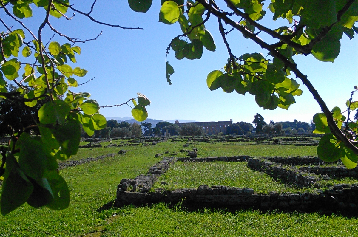 parco archeologico di paestum cilento