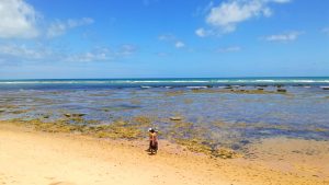 Mare in inverno: Braisle, Praia do Forte