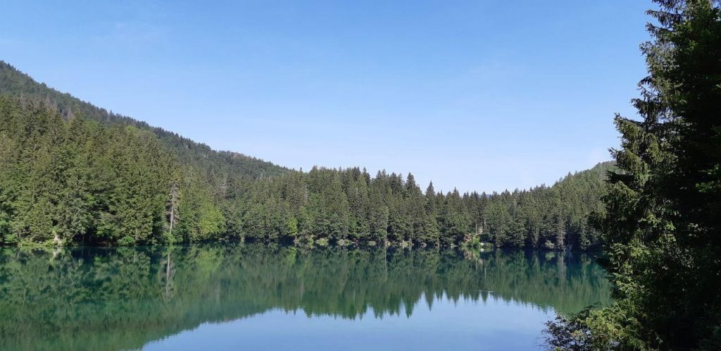 Cosa vedere in Friuli: Lago Inferiore di Fusine