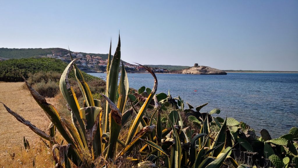 Sardegna, Oristano: le spiagge più belle