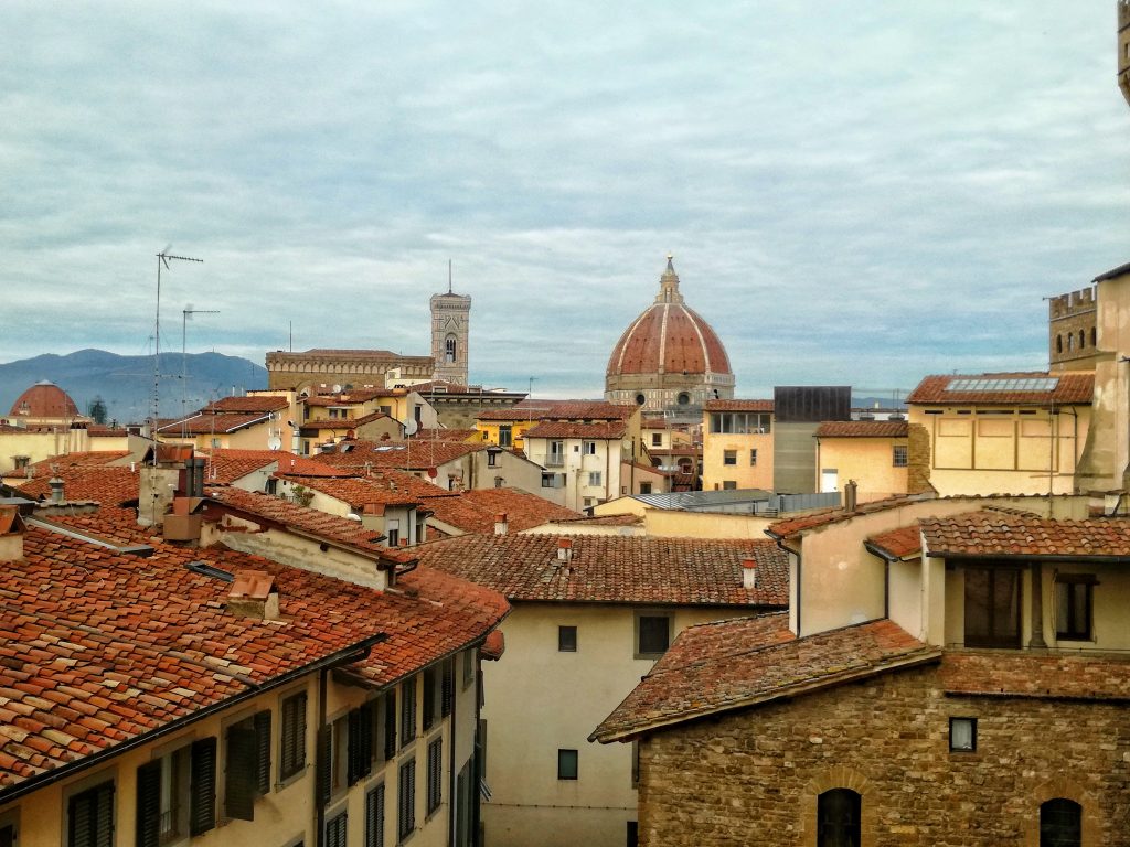 Firenze, panorama.